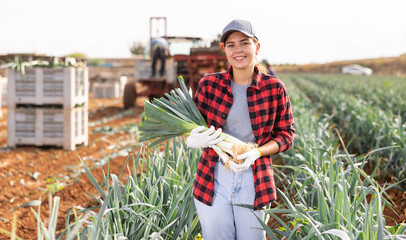 Positive young girl engaged in seasonal agricultural works in organic vegetable farm, holding harvested leek stalks on field..