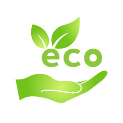 Hand with eco green leaf icon Bio nature green eco symbol for web and business
