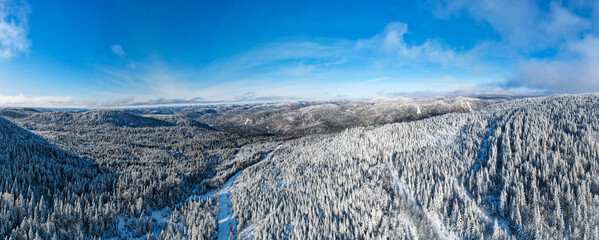 Panoramic aerial view of mountains covered by boreal forest on a cold winter day.