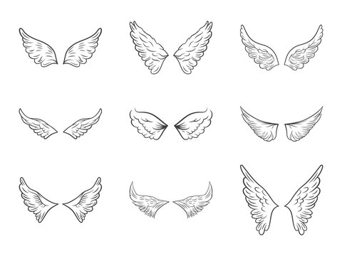 Vector Black Outline Wing Icon Set Isolated on White Background. Linear Vintage Wings, Icons, Design Template, Clipart Collection. Cupid, Bird Wings. Vector illustration