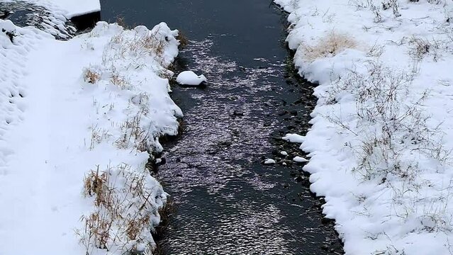 京都の冬景色，京都府京都市，鴨川は、桟敷ケ岳付近を源とし桂川の合流点に至るまで京都市内の南北を流れる約23kmの河川です。悠久の歴史の中で千年の都と京文化を育んできた川であり、今も大都市にあって清澄さを保ち、憩いの場として多くの人に親しまれています。冬，京都，日本，風景,，旅行，自然，木，背景，光，観光スポット