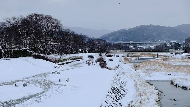 京都の冬景色，京都府京都市，鴨川は、桟敷ケ岳付近を源とし桂川の合流点に至るまで京都市内の南北を流れる約23kmの河川です。悠久の歴史の中で千年の都と京文化を育んできた川であり、今も大都市にあって清澄さを保ち、憩いの場として多くの人に親しまれています。冬，京都，日本，風景,，旅行，自然，木，背景，光，観光スポット