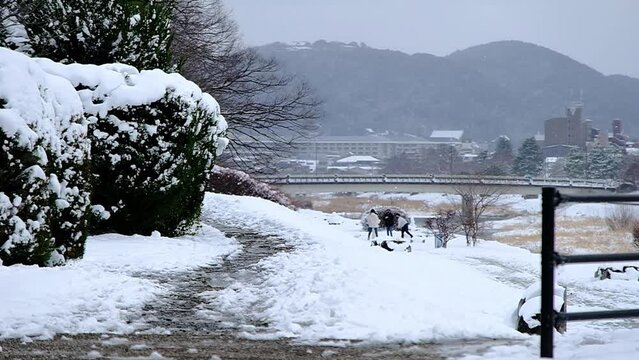 京都の冬景色，京都府京都市，鴨川は、桟敷ケ岳付近を源とし桂川の合流点に至るまで京都市内の南北を流れる約23kmの河川です。悠久の歴史の中で千年の都と京文化を育んできた川であり、今も大都市にあって清澄さを保ち、憩いの場として多くの人に親しまれています。冬，京都，日本，風景,，旅行，自然，木，背景，光，観光スポット