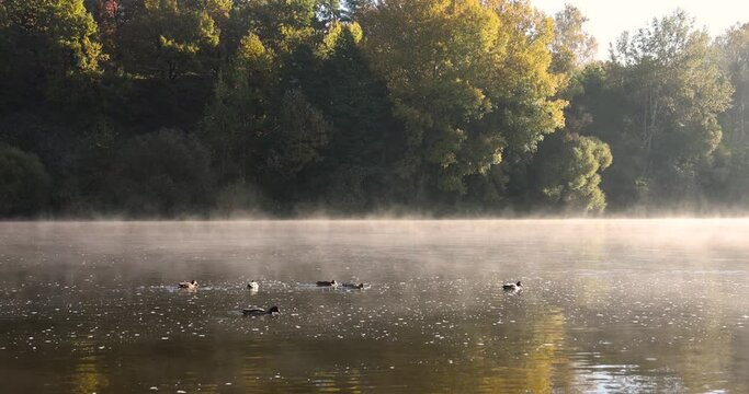 A little fog on the river in the autumn season, fog on the surface of the river in the autumn season during the sunny dawn