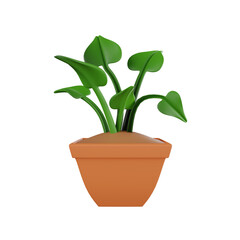 3D Plant Botanical