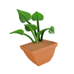 3D Plant Botanical