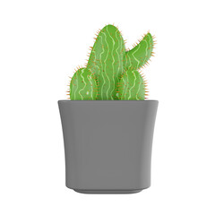 3D Cactus Plant