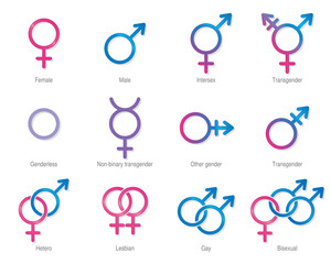Fototapeta na wymiar Symbols of masculine, feminine and of different sexual orientations in pink and blue color on a white background. Vector image