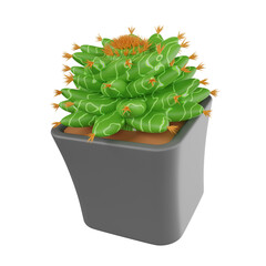 3D Cactus Plant