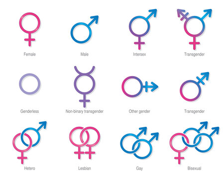 Symbols of masculine, feminine and of different sexual orientations in pink and blue color on a white background. Vector image
