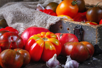 Harvest organic assorted tomatoes - red, yellow, orange, brown. Variety fresh colorful tomatoes of different varieties with selective focus. Retro style composition