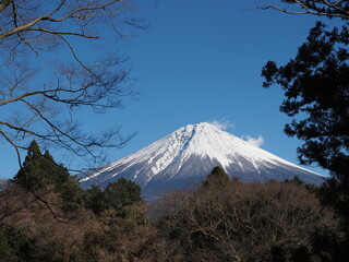 Obraz premium 青空と富士山
