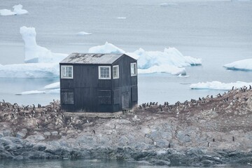 house of penguins in antarctica © Meg Elmore