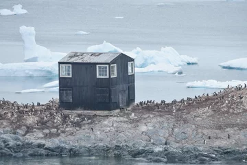 Foto op Canvas house of penguins in antarctica © Meg Elmore