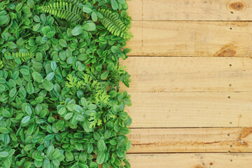 Hanging Garden