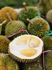 durian on stall