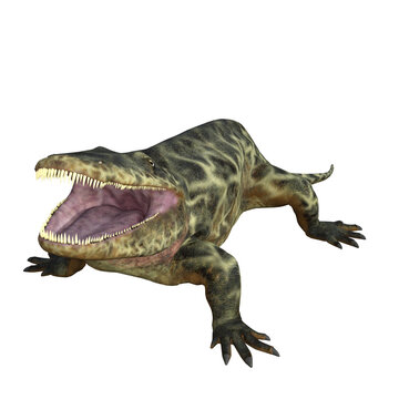 Eryops Dinosaur Isolated 3d Render