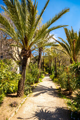 Obraz premium Son Marroig auf Mallorca, Spanien