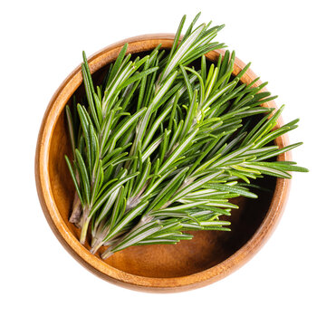 Fresh rosemary sprigs, in a wooden bowl. Rosemary twigs, branches of Salvia rosmarinus. Aromatic and evergreen shrub, with fragrant needle-like green leaves, used as a medicinal and culinary herb.