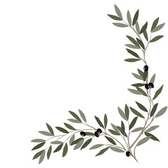 dry green olive leaf corner