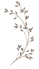 dry small  leaf png