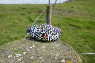 Encouraging kindness rock with you rock message on wooden fence post