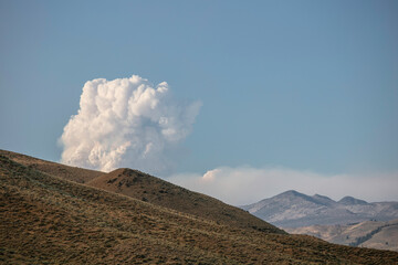 Wildfire Plume