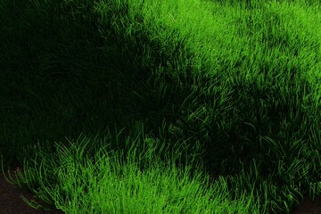 green grass realistic natural meadow for design and etc. Bright 3d illustration render. Lush green grass meadow background. fresh green grass