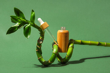 Bottle of serum and bamboo branch on green background