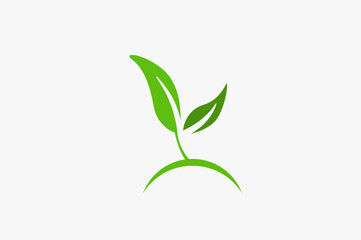 Illustration vector graphic of green leaf plant