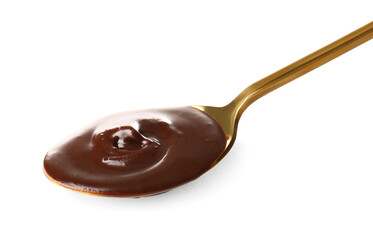 Spoon of delicious chocolate pudding isolated on white background