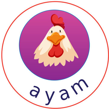 chicken