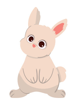 bunny cartoon icon
