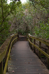 Obraz premium Wooden path, Wooden bridge, bridge in the forest, Forest, Vegetation, path of trees, Path, Trail to the lake, Kiplinger Nature Preserve