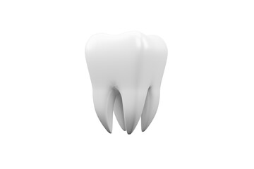 dental model of premolar tooth 3d rendering tooth isolated on white background