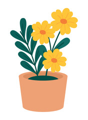 flowers in a pot spring
