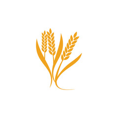 yellow wheat icon logo design