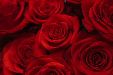 bouquet of roses. Mother day. Sensual. Gift. Rose