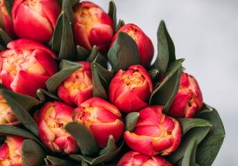 8 march. Mother day. Flowers background. 