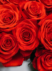 bouquet of red roses. Mother day. Sensual. Lovers. 