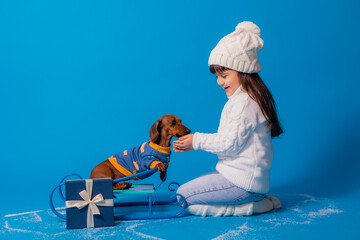 cute little brunette girl in a white knitted hat and sweater is sledding a dachshund dog with gifts...