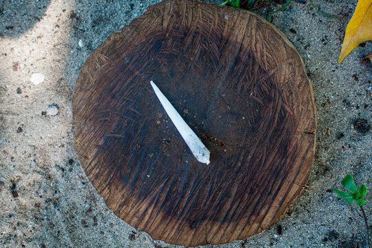 JAMAICA. A freshly rolled marijuana joint sits on a dark brown stump. (shot from directly overhead)