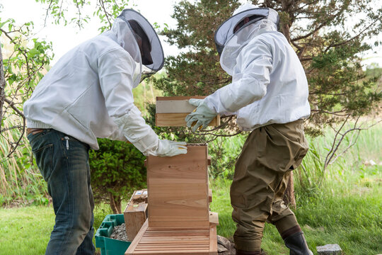 Installing bees in a hive