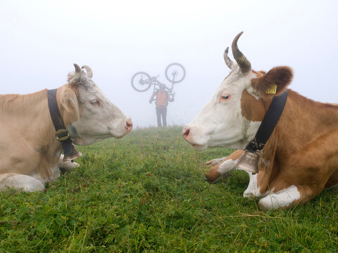 A mountain biker is walking through the fields of First, above Grindelwald.