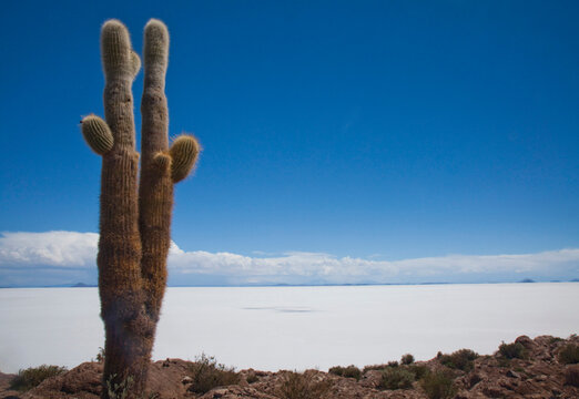 The Salar de Uyuni in Bolivia is the largest salt flat in the world. It's also home to the largest lithium deposit in the world and will be an interesting test to see how Bolivia m