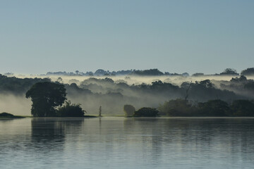 A misty morning on the rainforest-lined banks of the Guaporé-Itenez river, near Ilha das Flores, Rolim de Moura do Guaporé, Rondonia, on the border with Beni Department, Bolivia