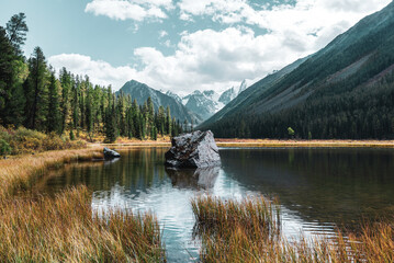 The stone lies in the middle of a mountain lake in a forest with fir trees against the background of the peaks of snowy mountains with glaciers in Altai during the day. Shavla river.