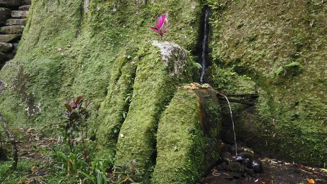 Balinese Ancient Temple Goa Garba, Archaeological Historical Site, Moss on Stone at Tampaksiring Village, Bali, Indonesia, Holy Praying Place in the Jungle