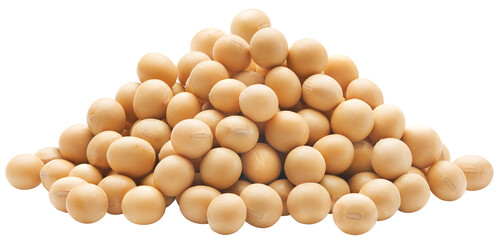 Stacked soybeans isolated - 565234003