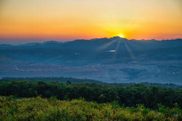 Tropical forest nature landscape sunset view with mountain range and Mexican sunflower field  at...